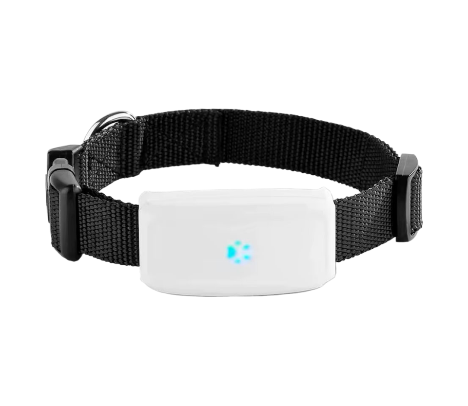 Pet GPS Tracker